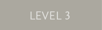 level 3