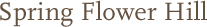 Spring Flower Hill