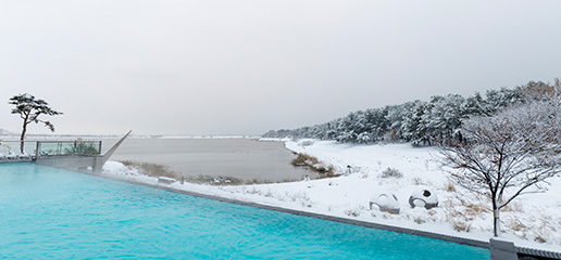 White Vacation
